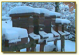 winterbienen02